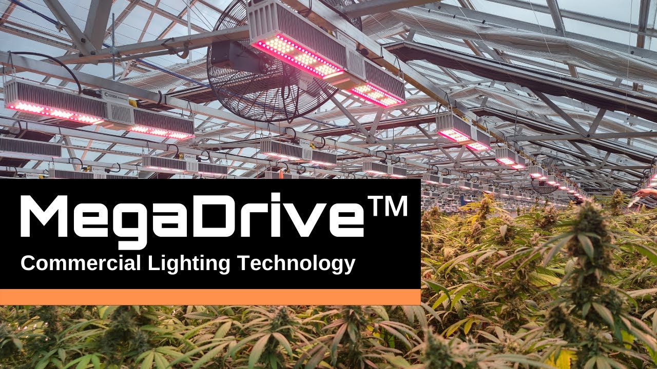 MegaDrive™ Lighting Technology - California Lightworks