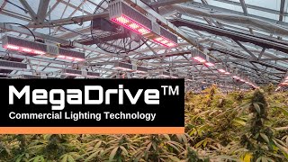 MegaDrive™ Lighting Technology - California Lightworks
