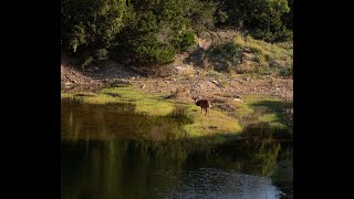 Pipe Creek Texas Ranch