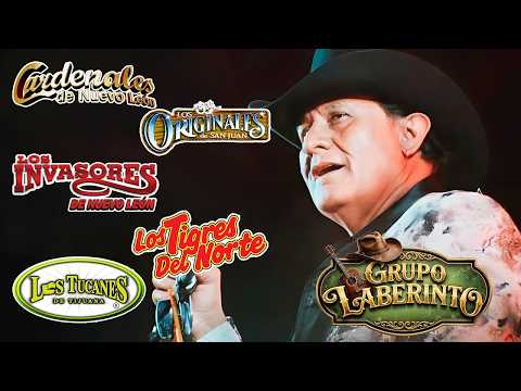 Los Tigres, Cardenales, Laberinto Y Tucanes 2026 🔥 Puros Corridos Mix Oro ~ Corridos Inolvidables