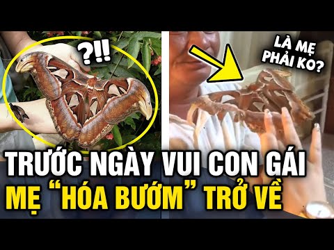 Video Mẹ mất chưa lâu, trước ngày con cưới xuất hiện 'CÁNH... - youtube