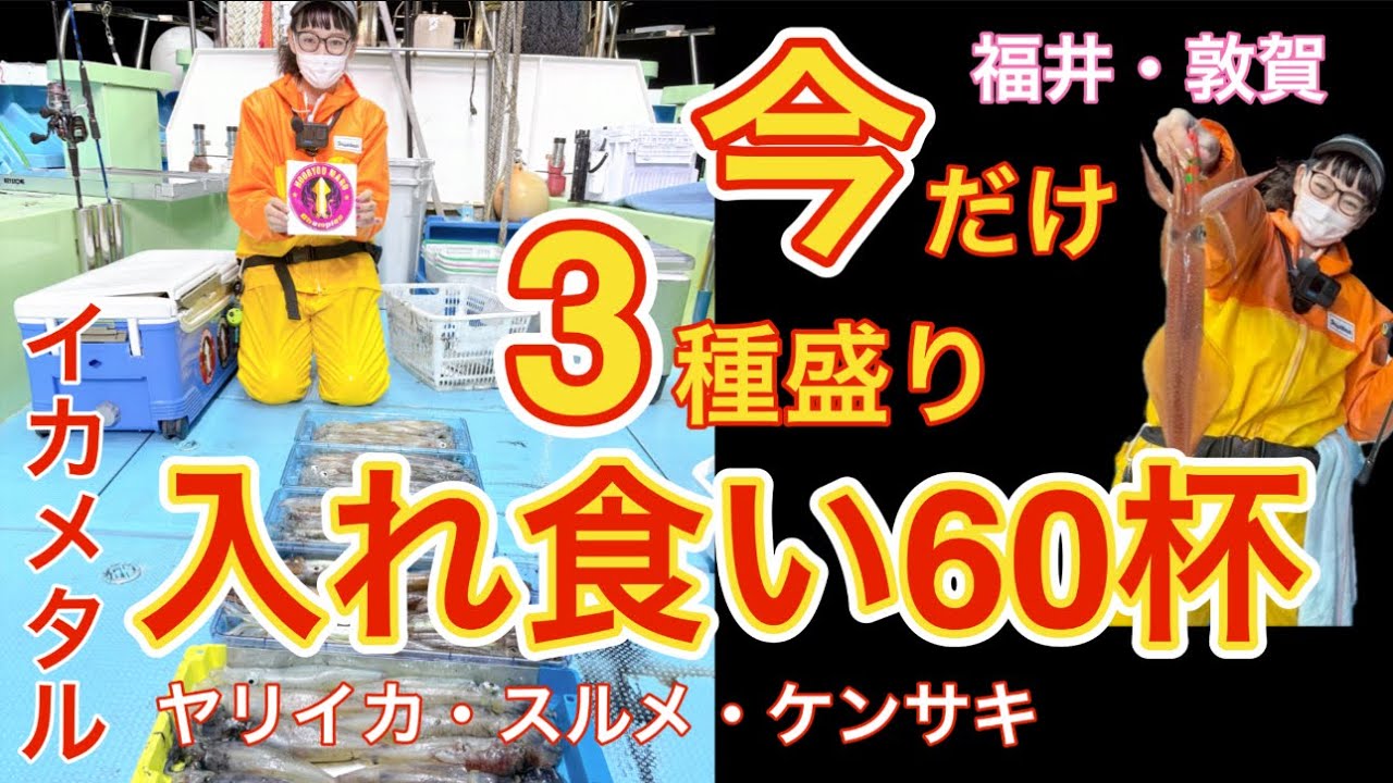【イカメタル】福井敦賀で爆釣‼️ケンサキ・ヤリイカ・スルメ入れ食い‼️2025.5.15⭐︎豊漁丸