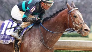 Mystik Dan's Historic Chase: Preakness Stakes Showdown!