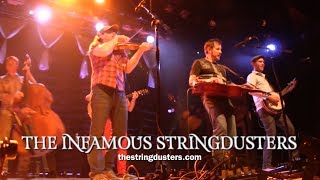 The Infamous Stringdusters - "Mountain Town" - Live at The Ogden