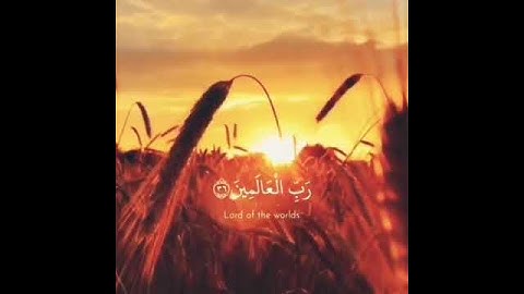 سورة الجاثيه فلله الحمد رب السماوات ورب الارض