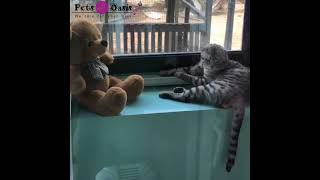 shambu enjoying the  garden view @  Pets Oasis Arcadia The Luxury Resort