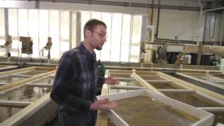 Science Programs at UMM