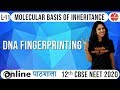 Neet Biology | Molecular Basis - L11 | DNA Fingerprinting | Vedantu Master Teacher | Dr. Vani Sood