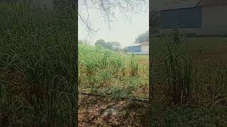 sprinkler system block 😨