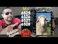Promotor Roberto.14/06/2025.Palpites RJ look SP NC Federal Boa sorte ☘️😎