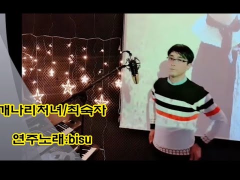 전자올겐연주 개나리처녀/최숙자 연주노래:bisu