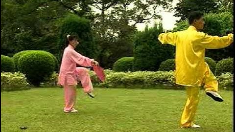 thai cuc lien hoa phien 42 thuc(lequyetthang upload).DAT