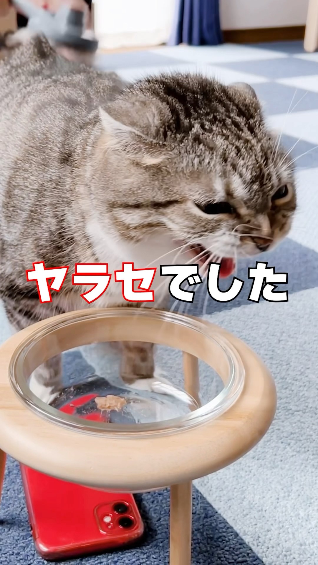 シャーシャーモードはヤラセなんですか？ 今こそ真実をお見せするで