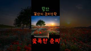 꽃폭탄 준비중／함안군／원예유통과 유대영 주무관 ／ 매일매일 노가다 ／ 공무원의 일상／ 만족도 200% /일잘하는 공무원 #shorts