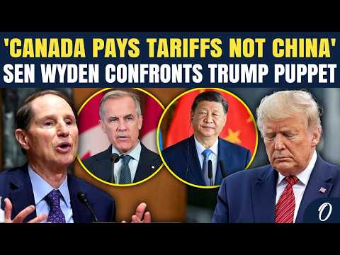 'Canada Or China': Senator Waydon Asks Why Canada Could Face HIGHER Tariffs Than China | US NEWS