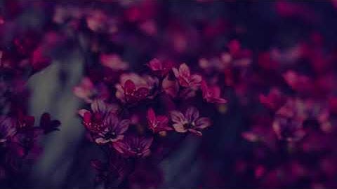 #سورة الكهف #محمد#الغرباوى#كل#يوم#سورو