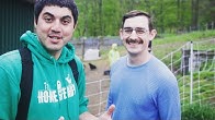 Homesteady - YouTube