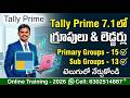 Groups and Ledgers (Primary groups -15,Sub groups - 13) in Tally Prime 7.0 (2026) Telugu