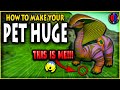 No Man's Sky Companions Pets UPDATE 3.2 How To Make Your Pet HUGE! | Pet Location