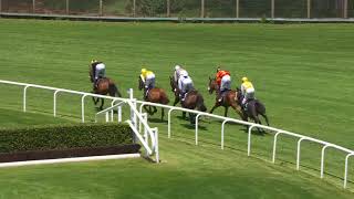 Vidéo de la course PMU PRIX DE LA PART-DIEU