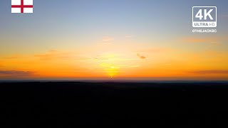 4K England Forest Nature Background | Cannock Chase | Relaxing Ambient Wallpaper | 218