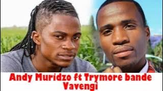 Andy Muridzo ft Trymore Bande - Vavengi