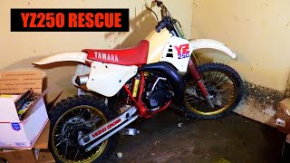 1986 Yamaha YZ250 Dirt Bike Revival  clean up & prep for a first start & first ride !
