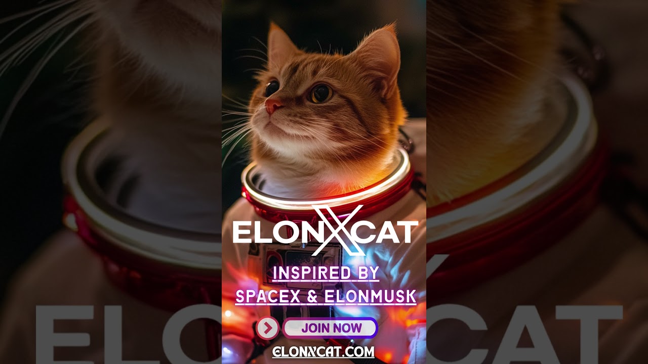 Take Off on a Fun Crypto Adventure with ElonXCat 🚀 || ELONXMUSK & SPACEX MEME COIN ||
