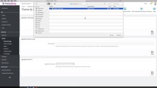 Alysum AMP Template Installation Process