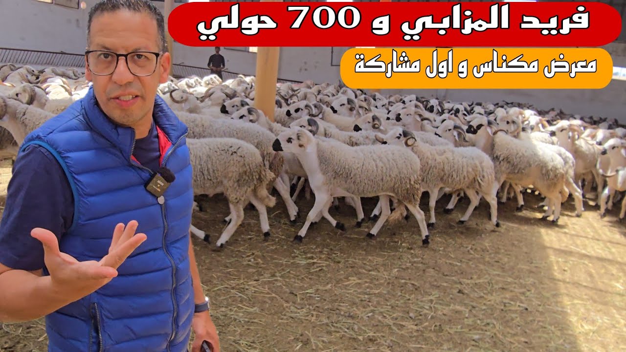 فريد المزابي و 700 حولي و كفاش كانت أول مشاركة له في معرض الفلاحة  بمكناس