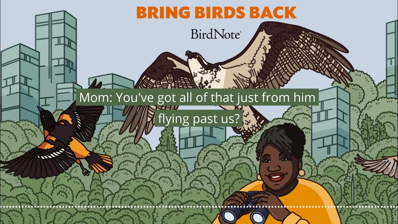 Bird back