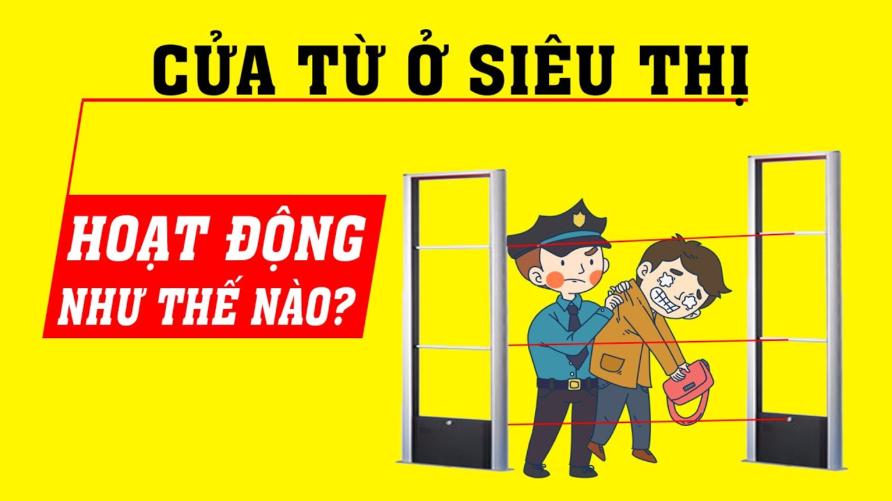 Cửa từ hoạt động thế nào? Giải thích cực dễ hiểu trong 5 phút