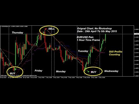 Cara aman bermain forex
