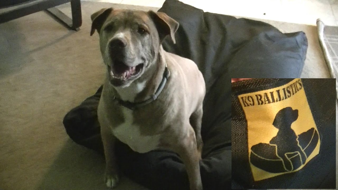 Indestructible Dog Bed !!! K9 Ballistics - YouTube