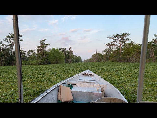 Crawfishing the basin eps 7