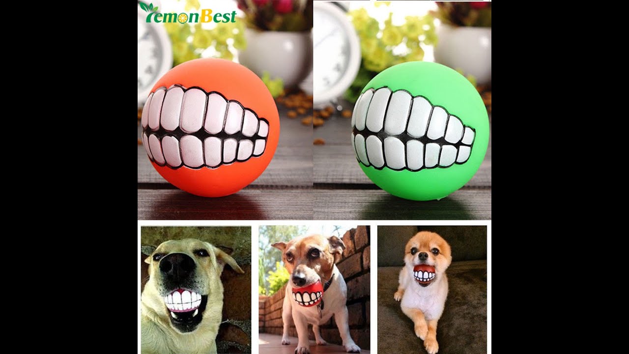 Dog Ball With Teeth Funny YouTube