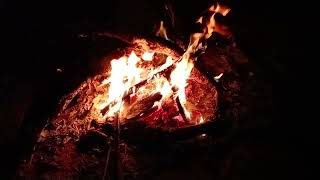 Campfire Night Fire 🌿 | 4-Hour Background Music | Study & Sleep | Calm Veritas