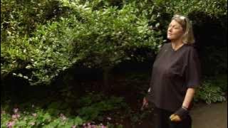 How to Prune a Sasanqua Camellia - Video Tutorials with Plant Amnesty