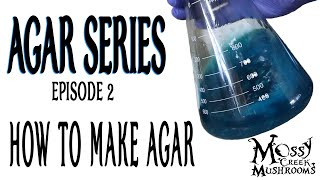 🍄Liquid Mushroom Culture [Agar Series - Episode 2]🍄The best way to make Agar! Recipe Included