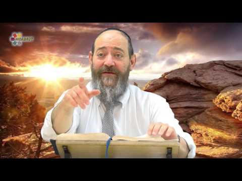 Rabbi David Kaplan