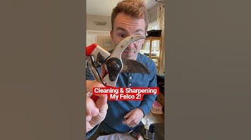 How To Clean & Sharpen Felco 2 Pruning Shears ✂️