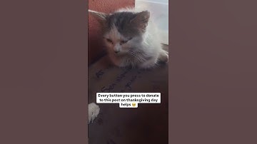 All the pledges you make are appreciated. Visit our link  in  description to support 💔😪🙏