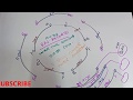 3 Speed Cooler Motor Winding Diagram