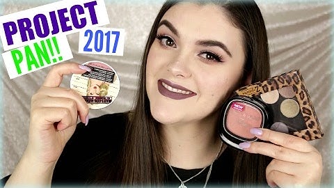 PROJECT PAN!! 17 Products in 2017!!! intro