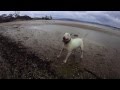 Frida At The Beach