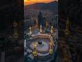 Does he not like the color black? Everyone says that black color is in the house of Allah.#foryou