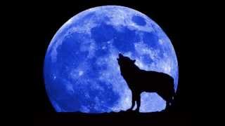 D-Angel Das Beste Cover