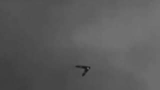 Possible TR6 Telos