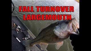 Fall Turnover Bass - The Struggle is Real!