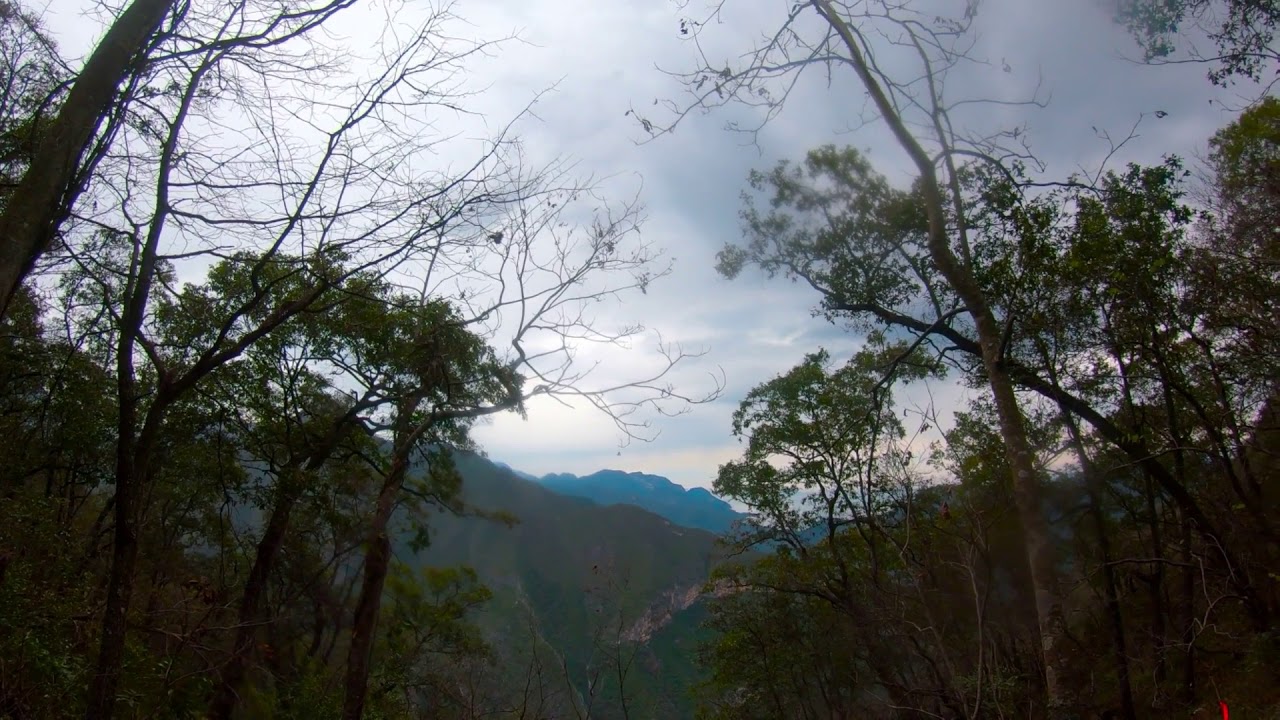 Oso Negro 100K Enero 2020